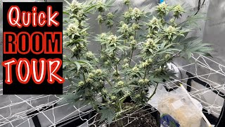 Everything I need for a perpetual grow room.