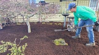 Jardineria en todo su apojeo