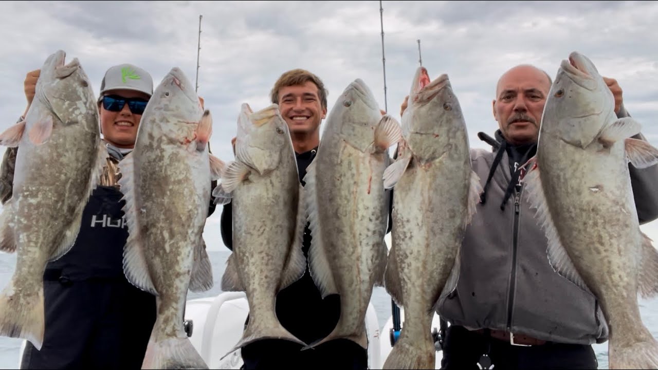 GAG LIMIT in under 15MINS!!!!!!