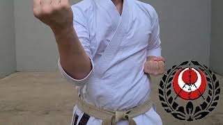 Karate Moves | CHUDAN UKE - Middle Block
