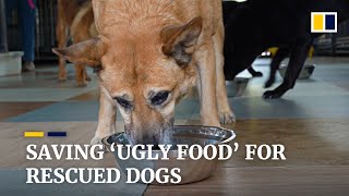 Food Waste Upcycled As Rescued Dogs Pet Food