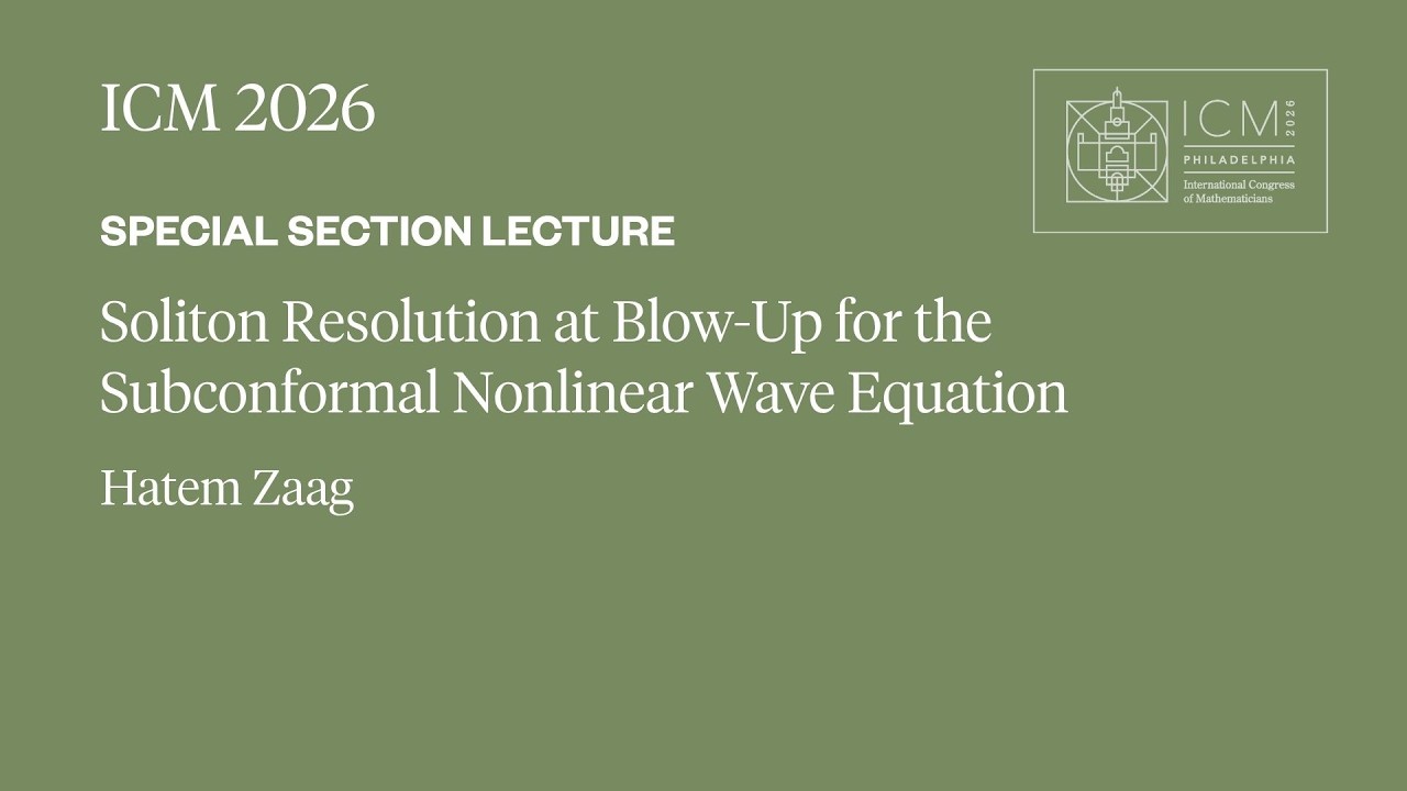 ICM 2026 Special Section Lecture - Hatem Zaag