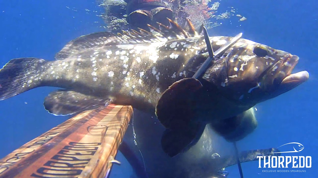 Pescasub: Thorpedo RI-MK 93 - Lo scoppia cernie