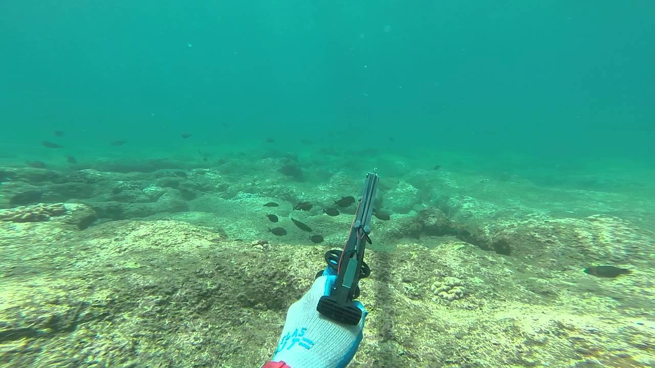 Aimrite Roller 95 cm Big Island