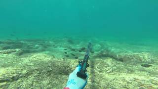 Aimrite Roller 95 cm Big Island