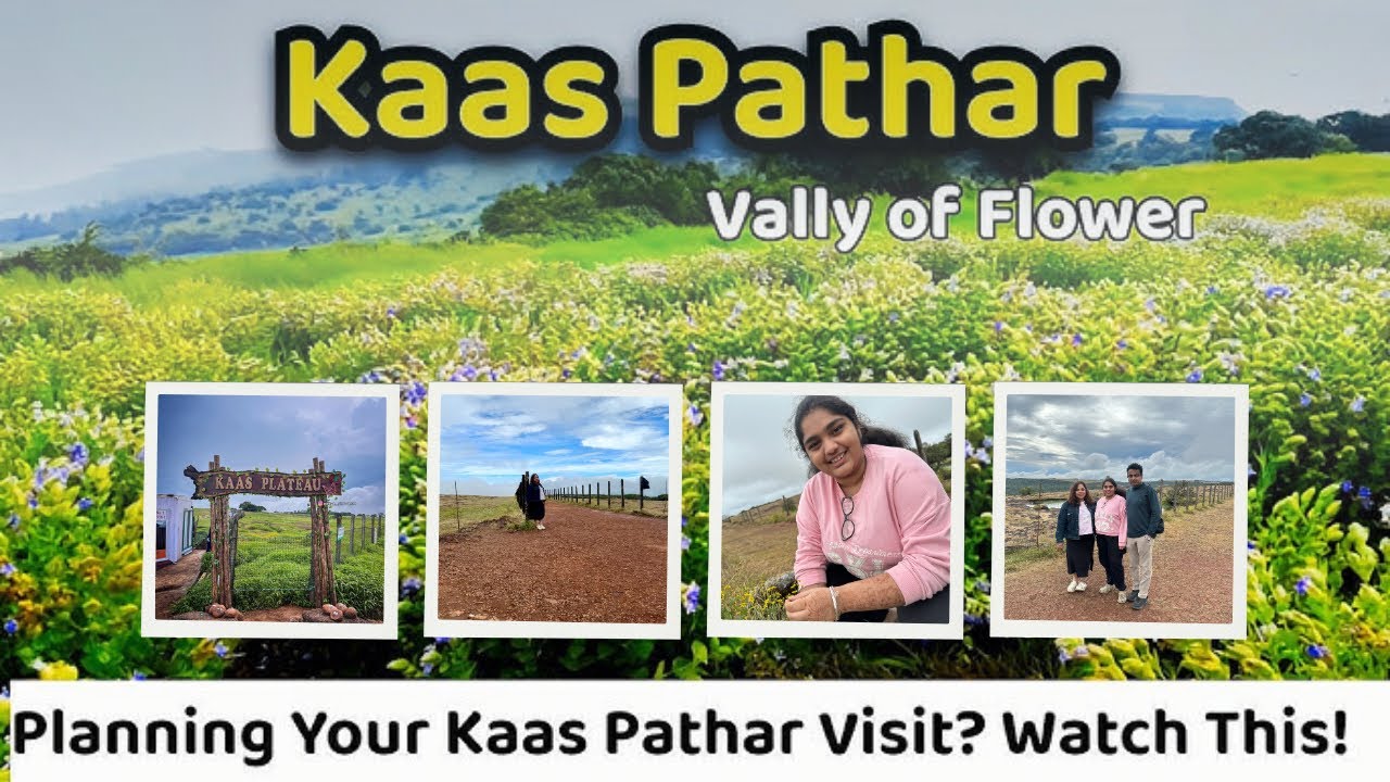 Kaas Pathar - The Valley of Flowers in Maharashtra | Kaas Pathar Satara | Satara Tourist Places