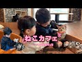 猫カフェ 猫喫茶 空陸家