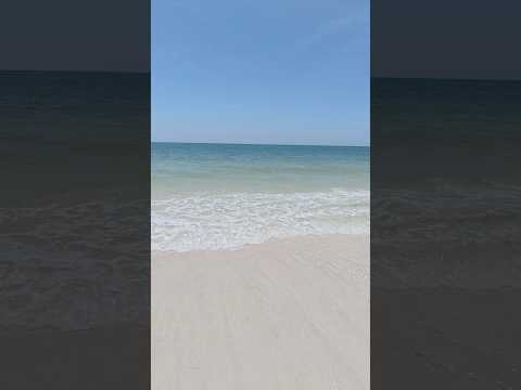 Walking from the sugar-white sand right into the crystal-clear waters of Navarre Beach! 🌊✨ There's nothing quite like Florida's beautiful beaches.
#NavarreBeach #FloridaBeaches #GulfCoast #BeachLife #TravelShorts #TheAltemLife