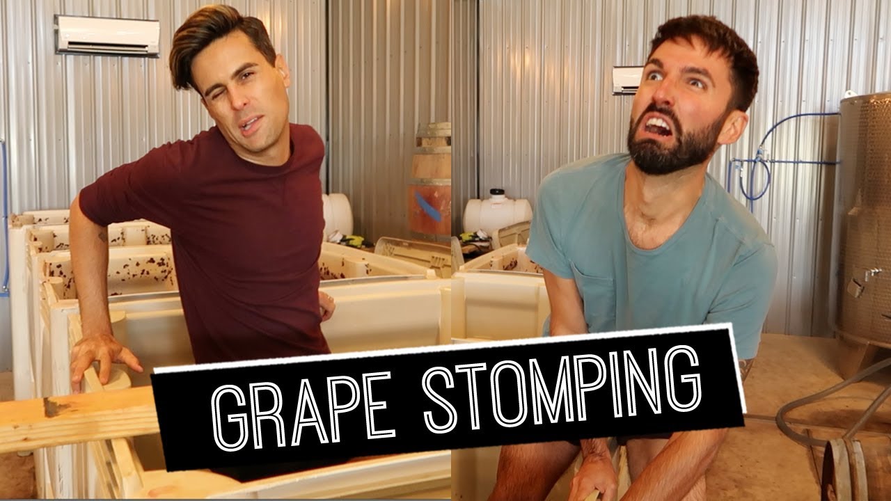 Grape Stomping at Liten Buffel Winery | Billy & Pat