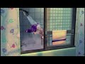 Middle of video
