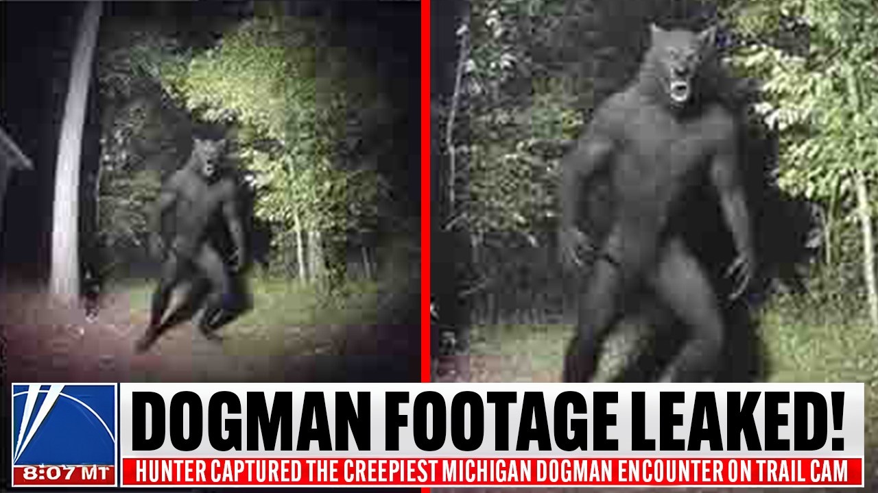 Hunter Captured The Creepiest Michigan Dogman Encounter On Trail Cam