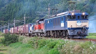 JR貨物 DD51 EF64 山陰迂回貨物最終日 2018.9.28