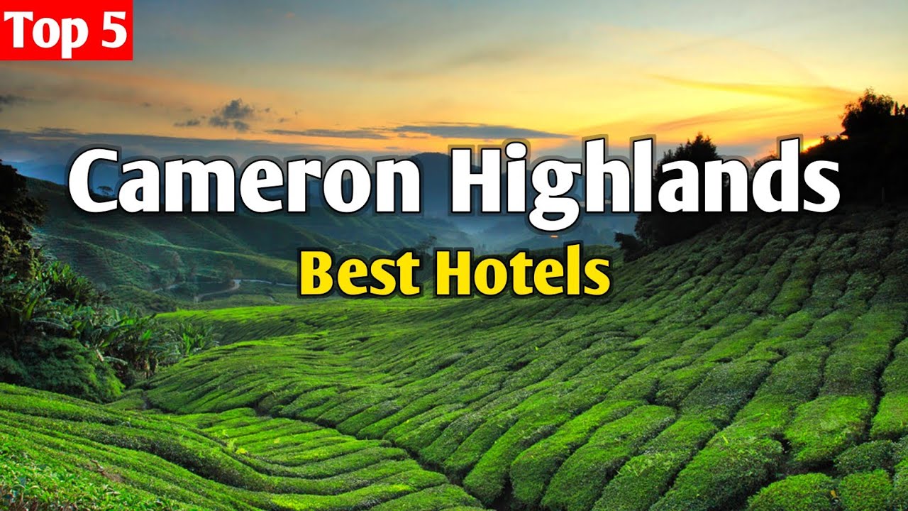 Top 5 Best Hotels in Cameron Highlands, Malaysia 🇲🇾