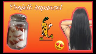 Projeto Rapunzel Mel De Cenouradany Moraes