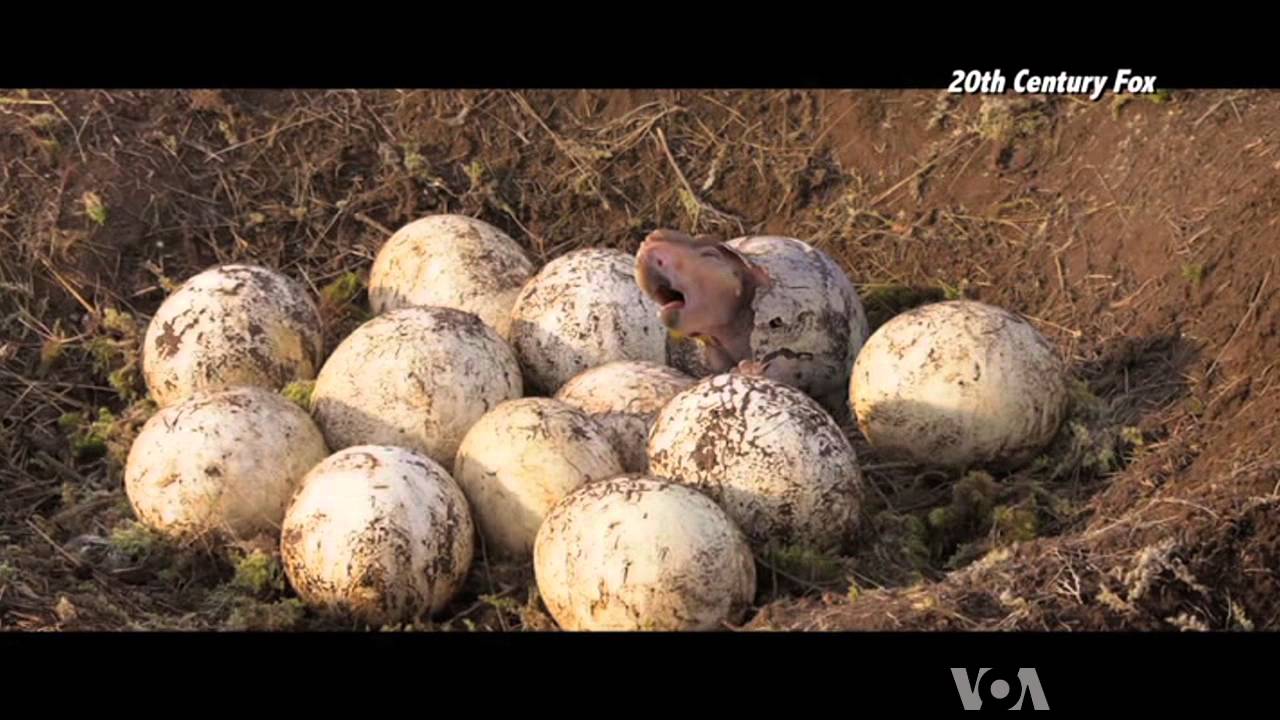 walking with dinosaurs common sense media