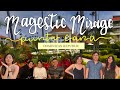 Majestic Mirage, Punta Cana, Dominican Republic Vlog (Pre-Pandemic)