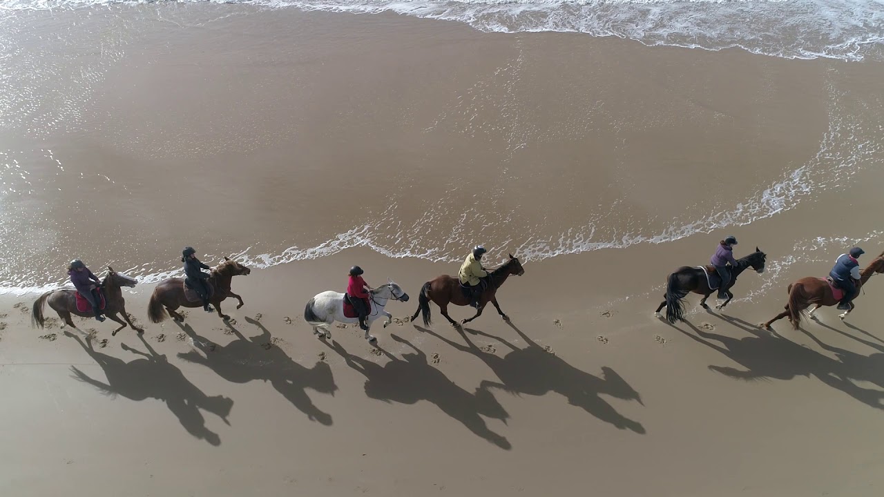 Balades à cheval St Palais Océan