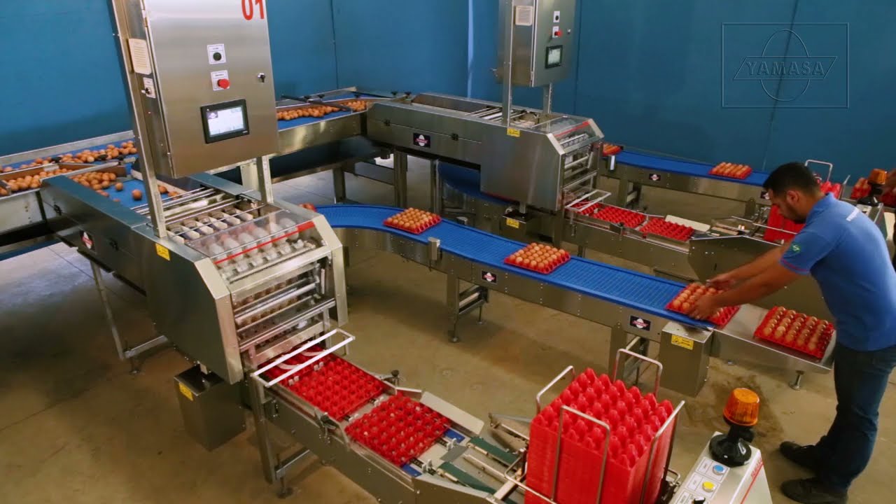 Farmpacker model 100D with denester - double layout