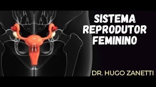 Anatomia do Sistema Reprodutor Feminino - Dr. Hugo Zanetti