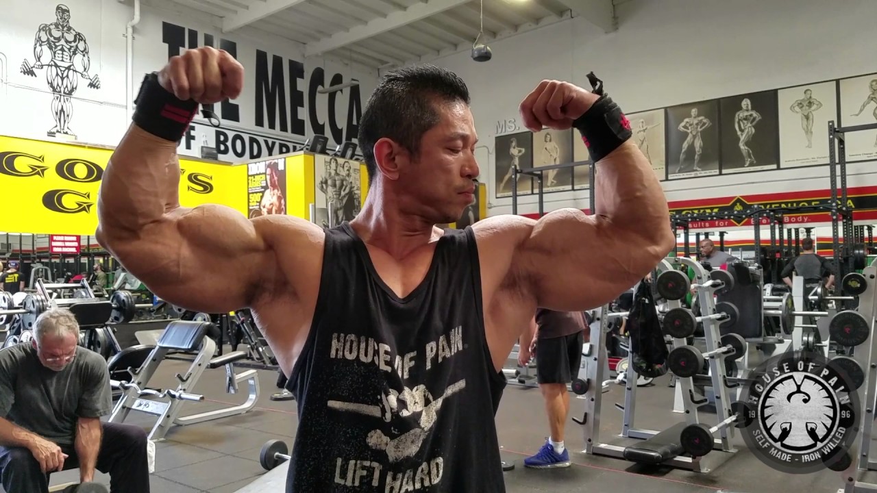 Back Training Day at Gold's Gym Venice Beach - Iron Diaries (DigitalMuscle.com)