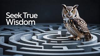 Proverbs 4:7 Wisdom is the principal thing; therefore get wisdom: and with all thy getting get