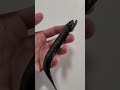 【危険】海で遭遇したヤバそうな生物３選　#shorts