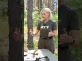 АКС-74: чому радянський автомат досі на озброєнні українських військових?