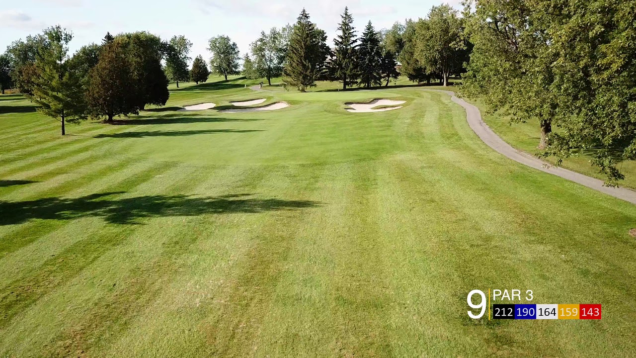 Whitevale Flyovers - Hole 9