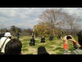 岡城桜まつり