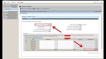 Deltek Time & Expense: Expense Tutorial