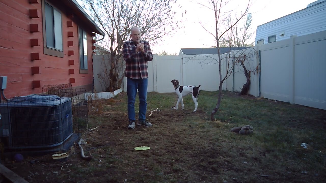 Sound File for Plum Turkey Trumpet