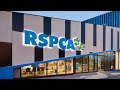 Rspca  pet adoption in melbourne