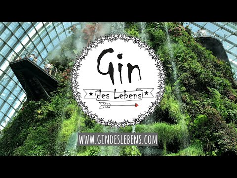 Singapur | Singapore Gardens by the Bay, Cloud Forest, Flower Dome & OCBC Skywalk - Singapore Part 2