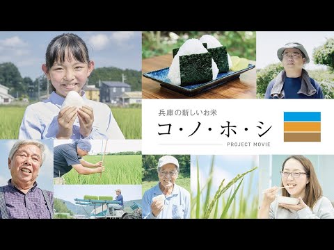 Hyogo's new rice 