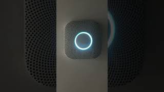 Nest protect test