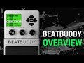 Video: SINGULAR SOUND BEATBUDDY BUNDLE CON FOOTSWITCH +