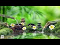 Relaxing Music 24/7, Sleep Music, Stress Relief Music, Spa, Meditation, Yoga, Zen, Flowing Stream