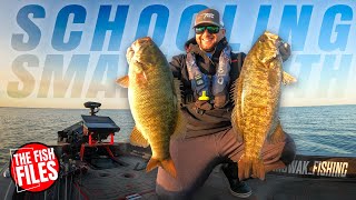 MAXIMIZING Schooling Smallmouth (INSANE FISH FLURRY)