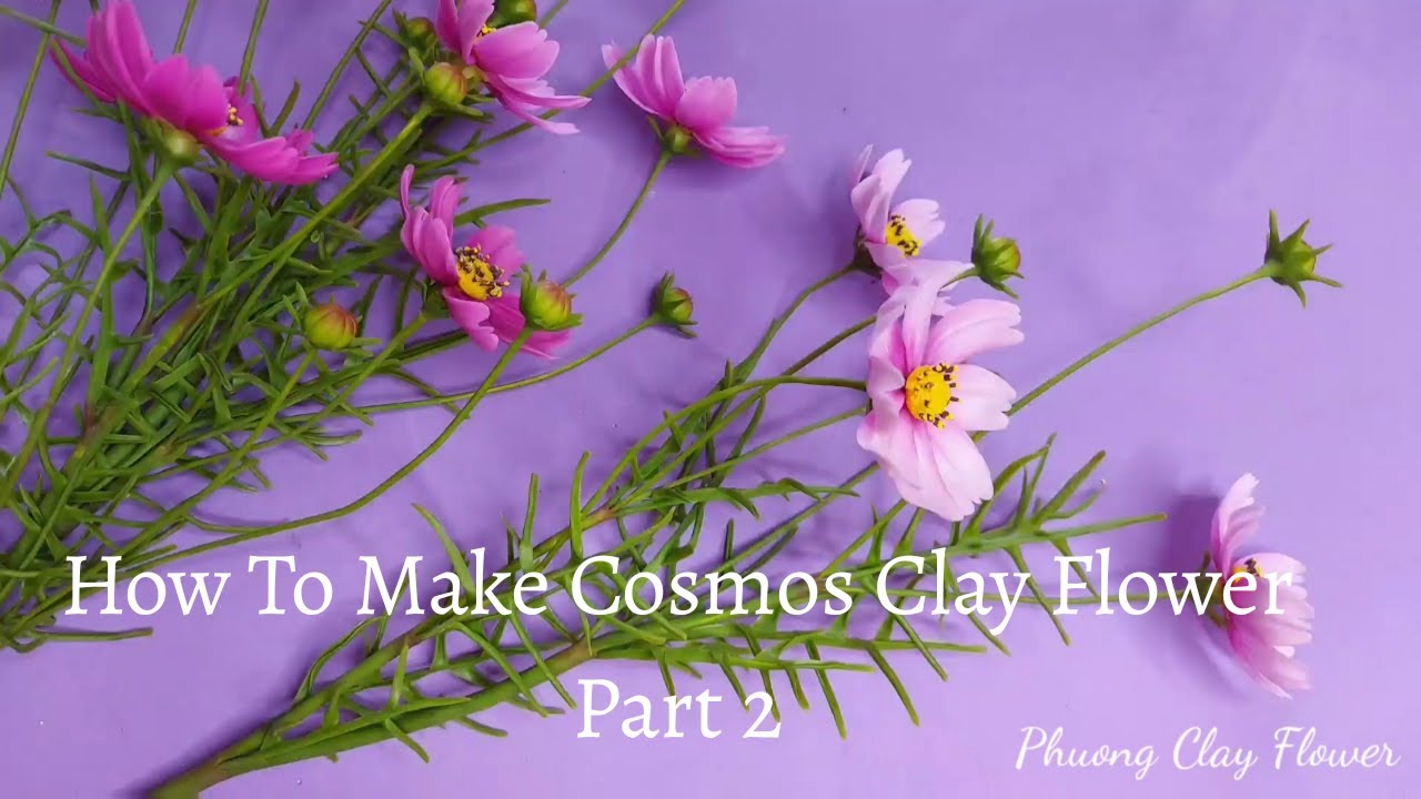 How To Make Cosmos Clay Flower Part 2.Hướng Dẫn Làm Hoa Cánh Bướm Đất Sét Phần 2.Phuong Clay Flower