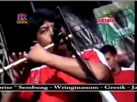 Dangdut New Pallapa Lilin Herlina Aku tak Butuh Cinta