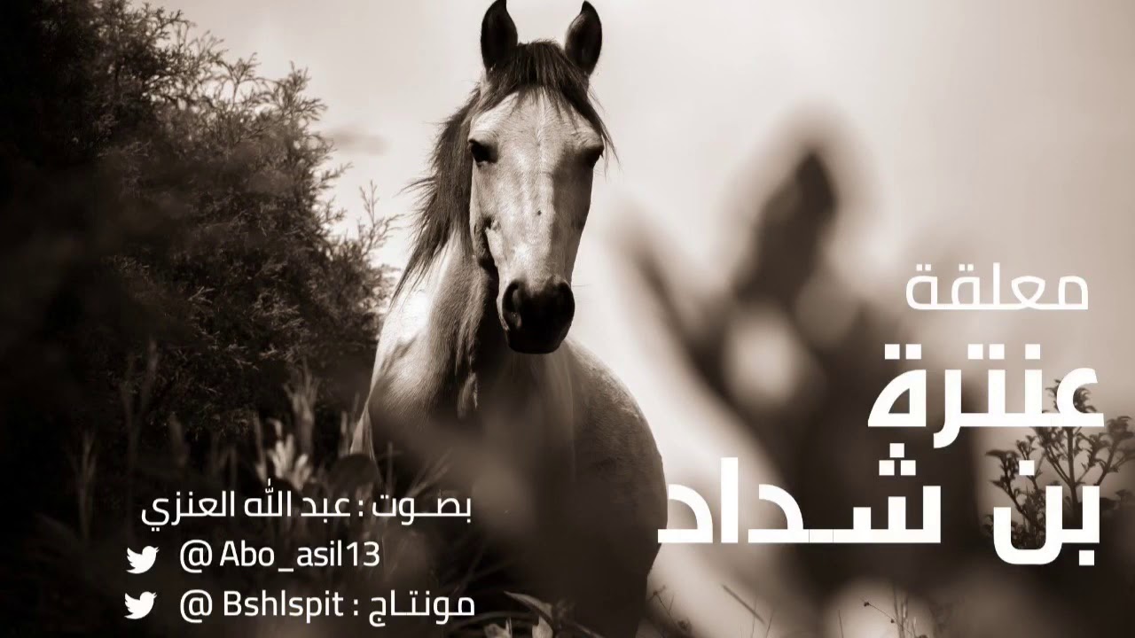 معلقة عنترة بن شداد | بصوت عبدالله العنزي