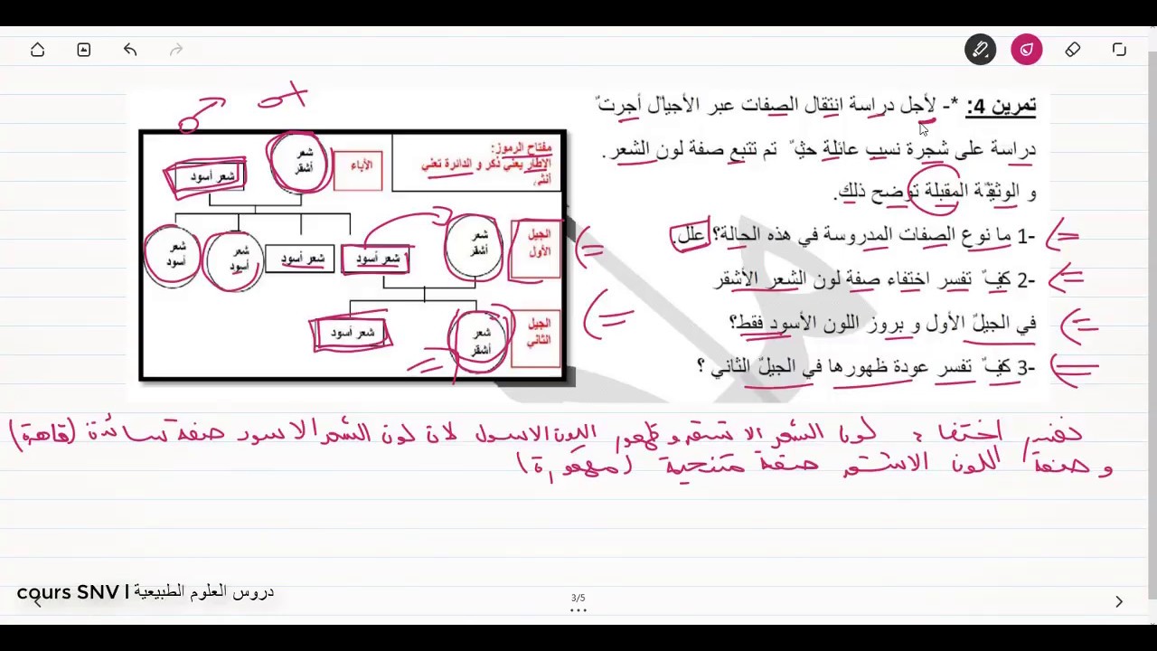 تمرين حول شجرة النسب علوم الطبيعة و الحياة