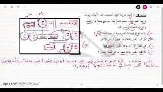 تمرين حول شجرة النسب علوم الطبيعة و الحياة