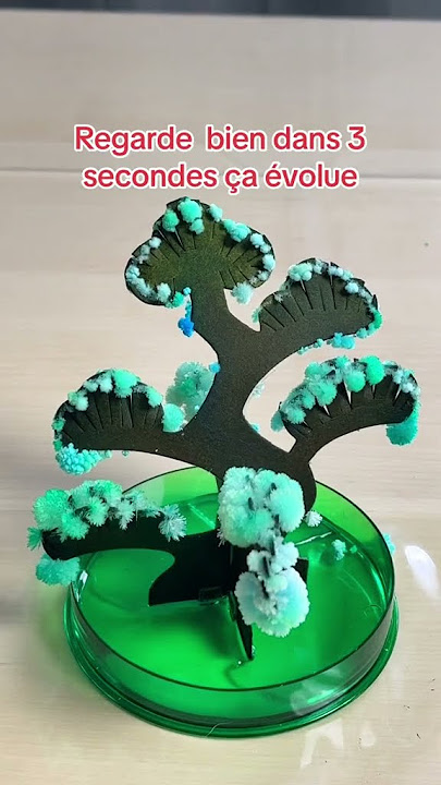 Fabriquer un arbre à cristaux (arbre magique) 