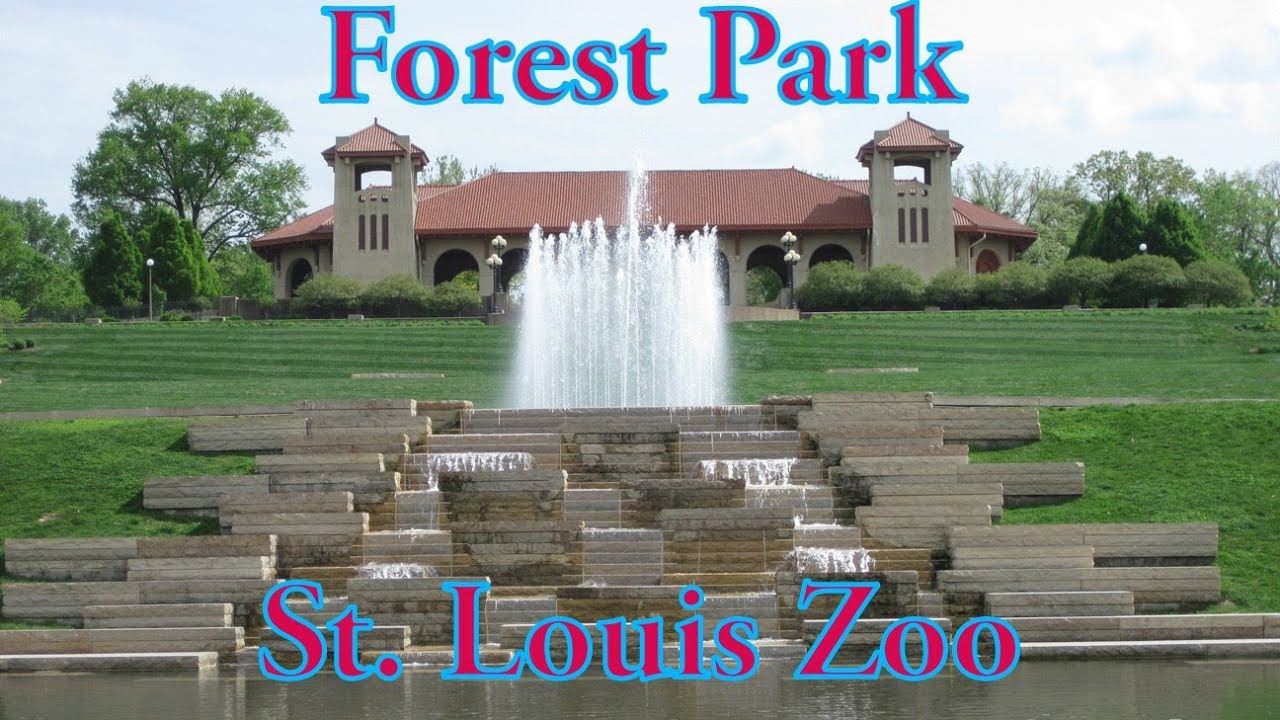 Visiting Forest Park/ St. Louis Missouri Zoo