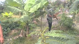 WP 20150219 026