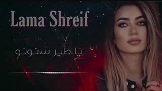 Download Lagu لمى شريف - يا طير سنونو 🔥❤ Lama Shreif - YA TAYR SNOUNOU MP3
