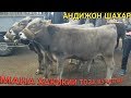 АНДИЖОН ШАХАР СОЙБУЙИ(9 ЭТАЖ) МОЛ БОЗОРИ ДАХШАТ ЭКАН