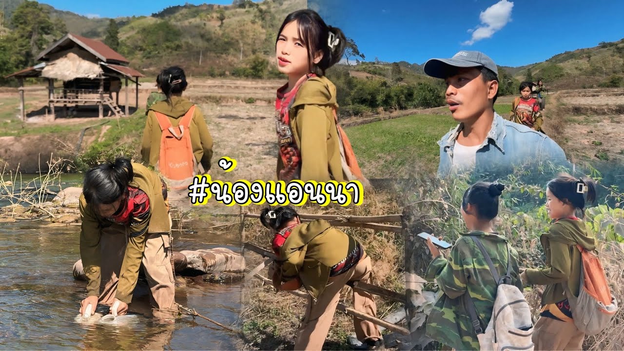 มีงานแต่งในหมู่บ้านน้องไม่เงินช่วยงานเลยเก็บมะกอกไปช่วยแทน #น่าสงสาร 😰