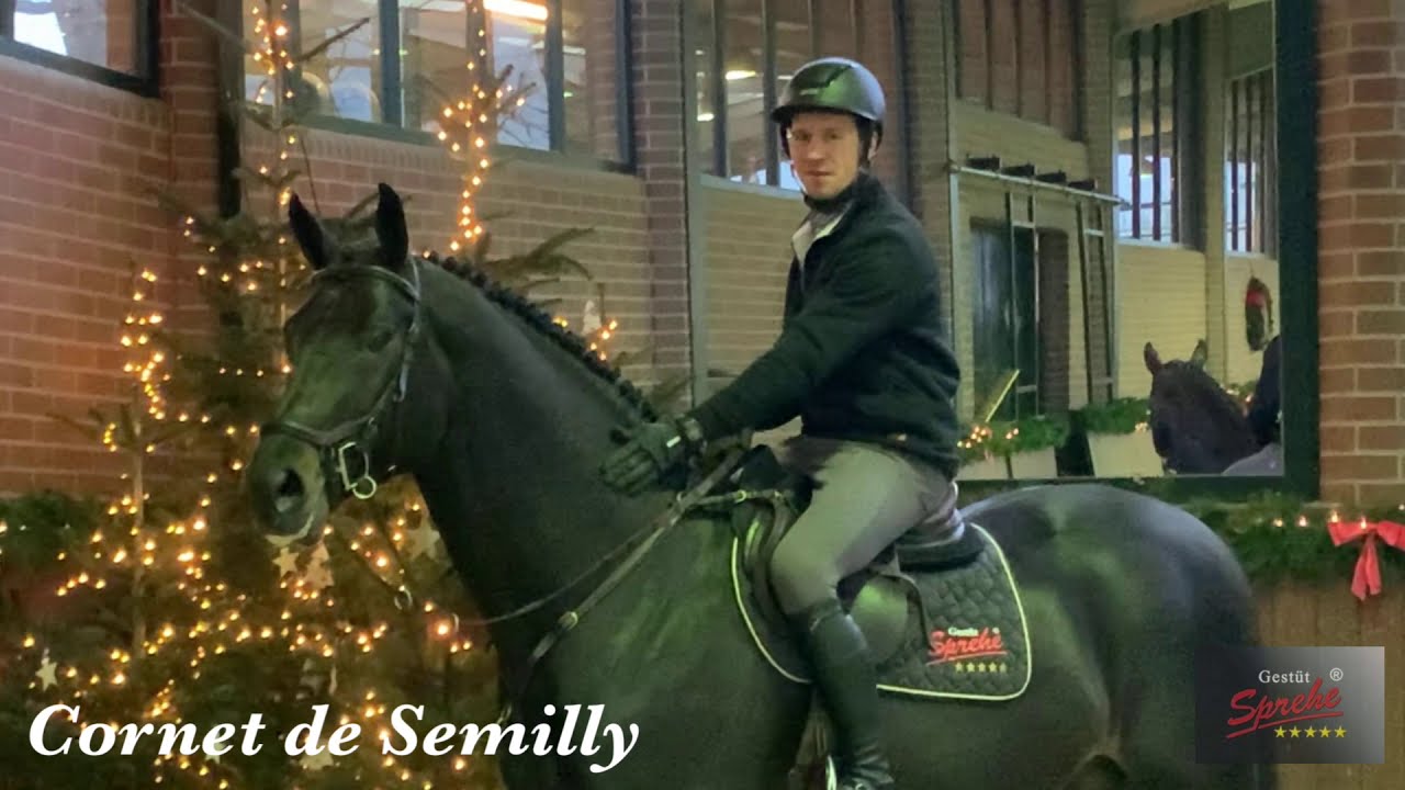 Cornet de Semilly Trainingsimpressionen